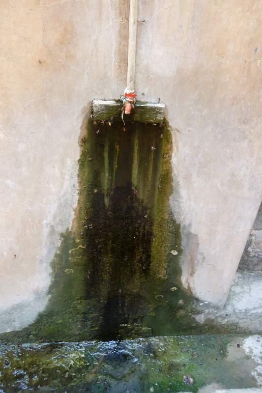 India & Nepal 2011 - 1064